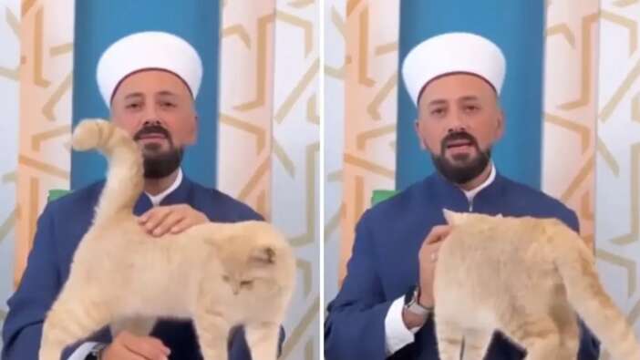 Hafız Mustafa Efe'nin konuşma yaptığı sırada yanına gelen kedi ile ilgilendiği anlar viral oldu