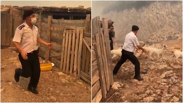 Çanakkale'de alevlerle mücadele! Albay Türkdönmez, hayvanları yangından böyle kurtardı