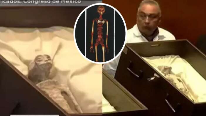 Meksika, madende bulunan 2 uzaylı cesedini canlı yayında sergiledi! 3 parmakları var, dişleri yok