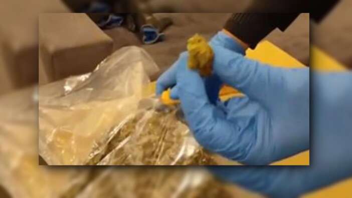 Yalova limanında 80 kilo esrar ele geçirildi!  Değeri tam 10 milyon lira...