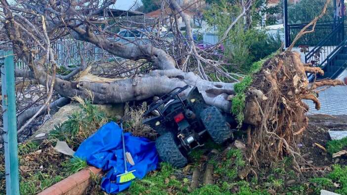 Meteoroloji uyarmıştı: İzmir'de hortum su tankerini 30 metre fırlattı, çatıları uçurdu, ağaçları devirdi