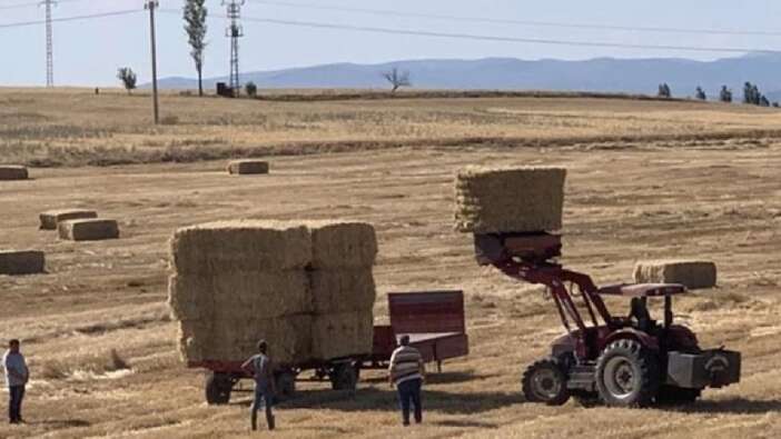 Çiftçiler dikkat! ÇKS ürün güncelleme başvuruları başladı