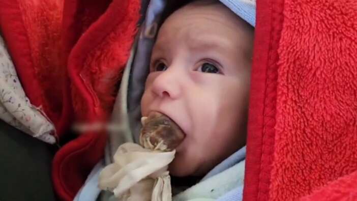 Filistinli anne, sütü kesildiği için bebeğini beze sardığı hurma ile beslemeye çalıştı...