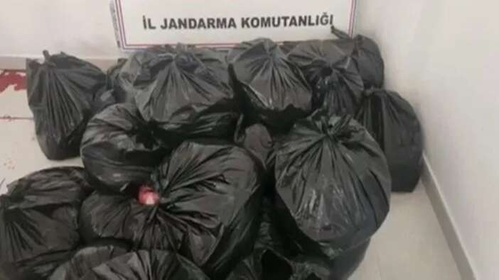 Adana’da kesilen 700 kilogram at ve eşek eti Sakarya’da yakalandı