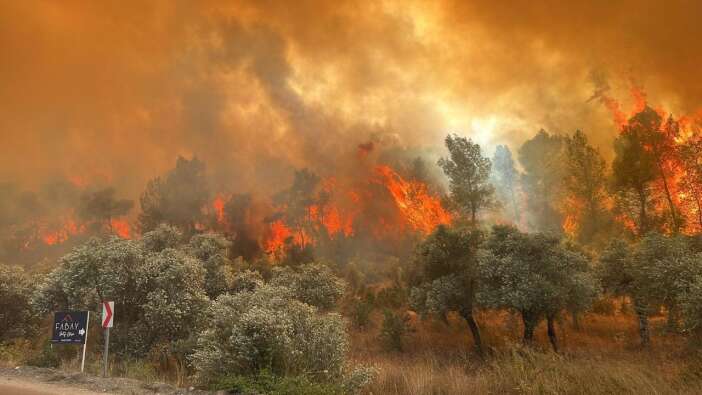 Çanakkale Valiliği'nden orman yangını uyarısı