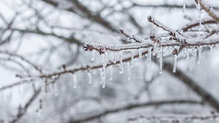 Meteorolojiden Ankara için zirai don uyarısı!