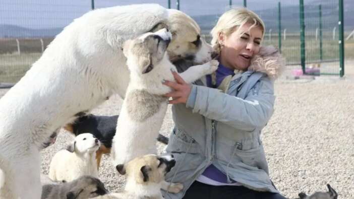 Hasta köpekleri Şanlıurfa'dan Ankara'ya götüren Buket Özgünlü tutuklandı