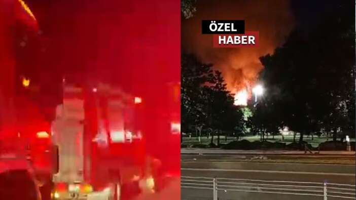 Yedikule hayvan barınağında yangın çıktı