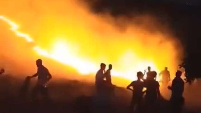 Mardin'de orman yangını
