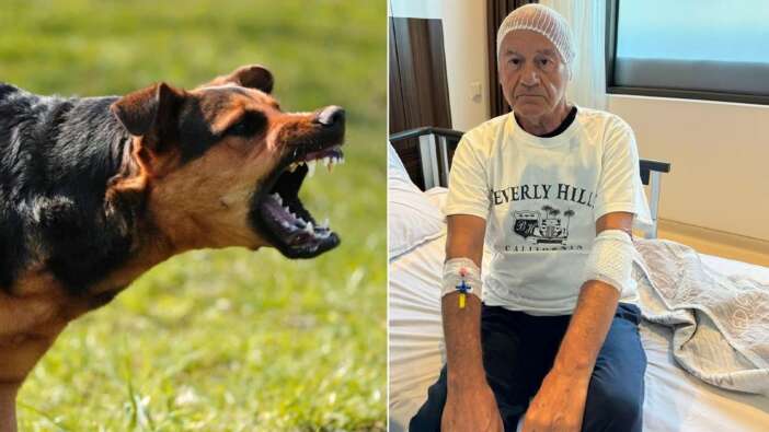Çeşme'de başıboş köpek dehşeti! İş dünyasının tanınan ismi Ercan Erdem ölümden döndü