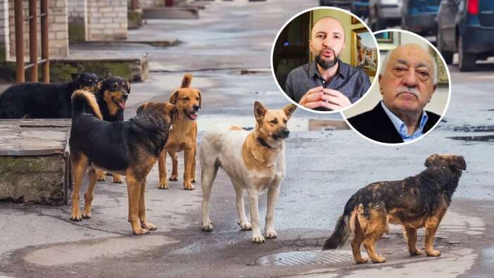 FETÖ'cüler sokak köpekleri yasası üzerinden kaos çıkarma planı yapıyor! Sohbet odasında deşifre oldular...
