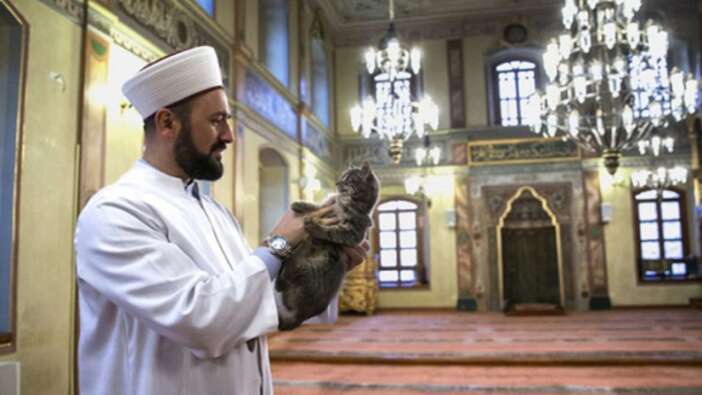 Sokak köpekleri yasasına karşı çıkan imamın konuşması gündem oldu!