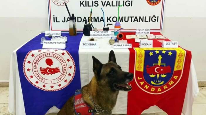 17 ilde zehir tacirlerine operasyon! Bakan Yerlikaya, ''Uyuşturucuya geçit yok'' diyerek duyurdu: 103 kişi yakalandı