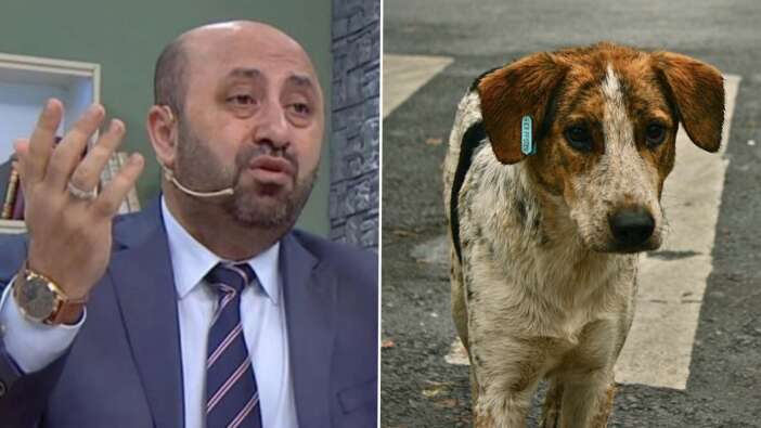 Ömer Döngeloğlu'nun konuşması gündem oldu: Köpeklere verdiğiniz zehiri ahirette size yutturacaklar!