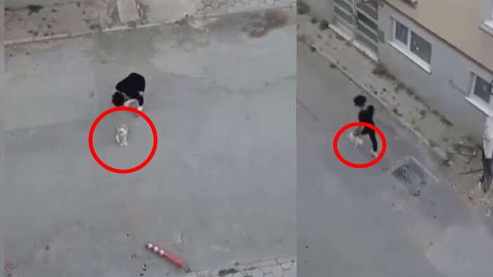 Eskişehir'de bir şahıs hem köpeğine eziyet etti hem de vatandaşlara küfürler savurdu!