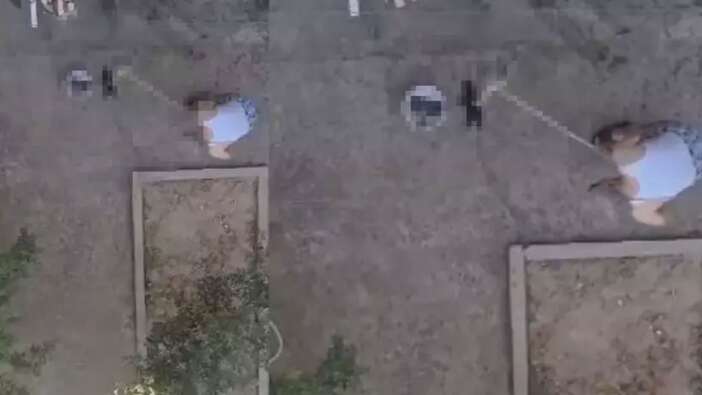 Manisa'da dehşet! 3 yavru kediyi sopayla vurarak öldürdü