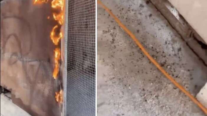 Halk Ekmek'te 'un biti' tehlikesi! İBB üretimi durdurmadı...