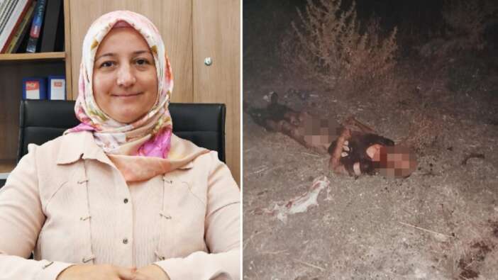 Başıboş köpeklerin toplanmasından sorumlu Ayşegül Coşkun hakkında skandal iddia! SuperHaber Fatih Belediyesi'ne olayın gerçek yüzünü sordu...