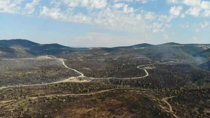 Ankara'da başlayıp Bolu'ya sıçradı! Kızılcahamam yangını 22 saat sonra kontrol altında!