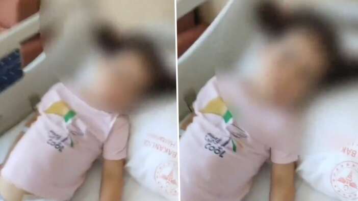 Ankara Gölbaşı'nda sokak köpekleri 5 yaşındaki kız çocuğuna saldırdı! "Hepsi toplatılsın" çağrısı...