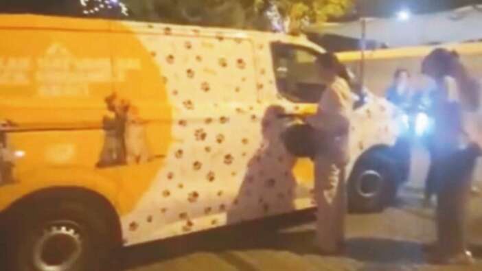Hayvansever kisvesi altında başıboş köpekleri toplayan görevlileri engellediler! Fatih'te belediye ekiplerine saldırı