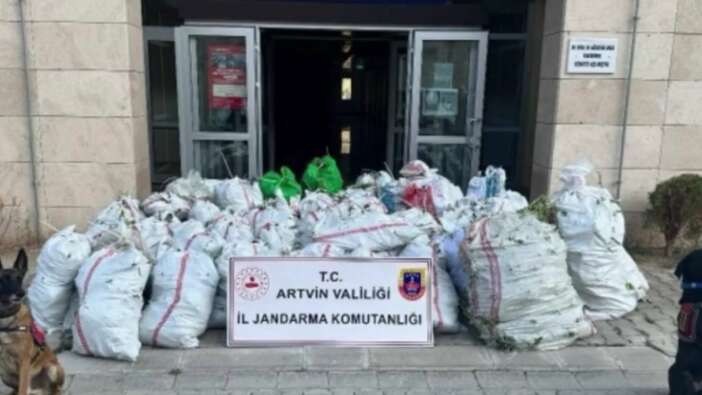 Artvin'de zehir tacirlerine operasyon! 502 kg uyuşturucu madde ele geçirildi! 2 şüpheli yakalandı