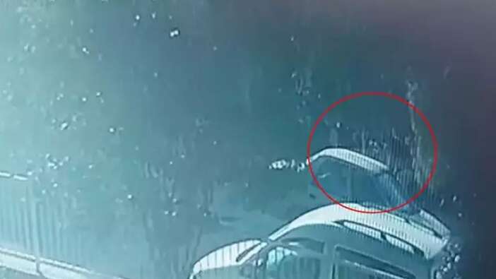 Muğla'daki korkunç olayda yeni detaylar! İnternetten çakı ve bıçak aramış! Cinayet anı kamerada