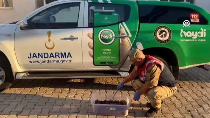Şanlıurfa’da yakalandı! Canlı yakalananlarla 387 bin lira ceza kesildi