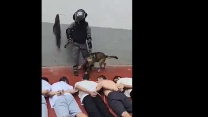 İsrail hapishanelerinde işkence! Filistinli esirleri köpekle korkuttular