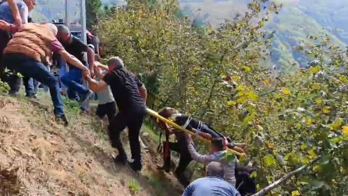 Düzce'de fındık işçilerini taşıyan minibüs uçuruma yuvarlandı, çok sayıda yaralı var