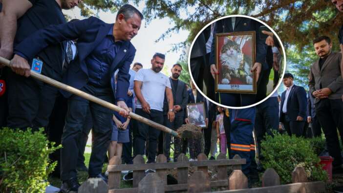 CHP'nin medyatik kedisi Şero öldü! CHP Genel Merkezi'nde cenaze töreni düzenlendi! Özgür Özel toprak attı...