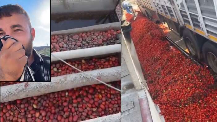 Ünlü salça markasının tesisinden skandal görüntü! Tarım Bakanlığı faaliyetlerini askıya aldı
