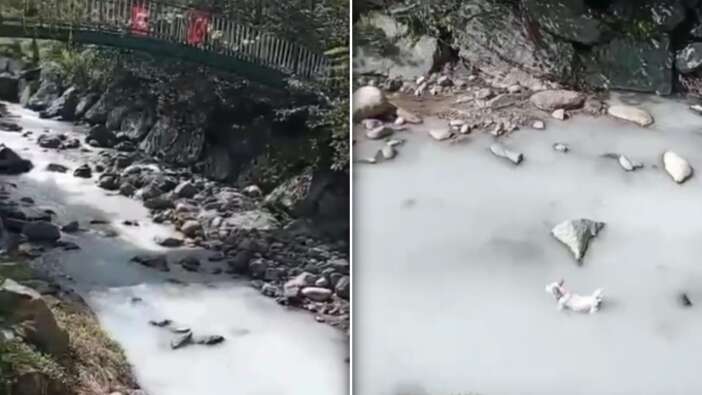 Rize'de dereye kilolarca kireç döktüler! Yarım milyon para cezası kesildi...