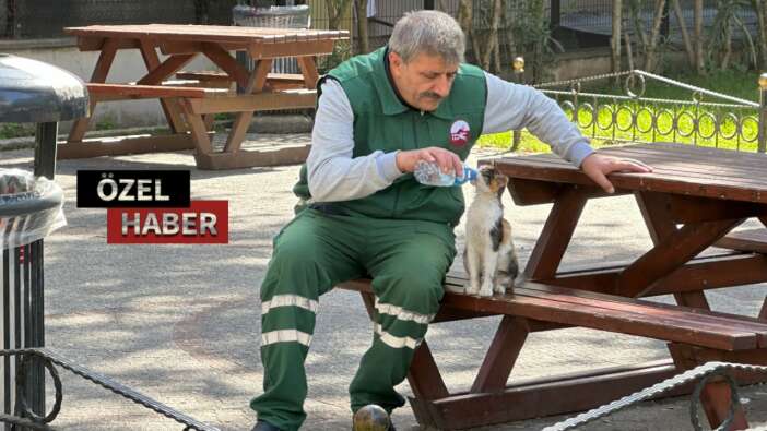 İşte hayvana saygı; sabırla su içirip kedinin susuzluğunu giderdi