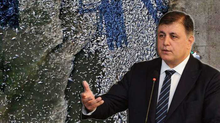 Zehir çukuruna dönen İzmir Körfezi için bakanlık harekete geçti! CHP'li Başkan Cemil Tugay 2 gündür imza bile atmadı...
