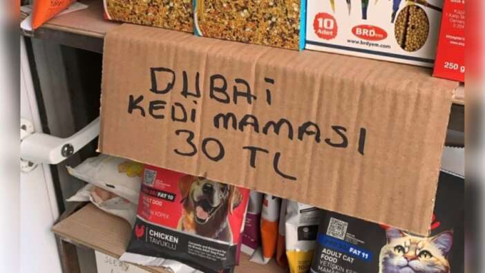 Dubai Çikolatası Derken Şimdi de Dubai Kedi Maması Çılgınlığı!