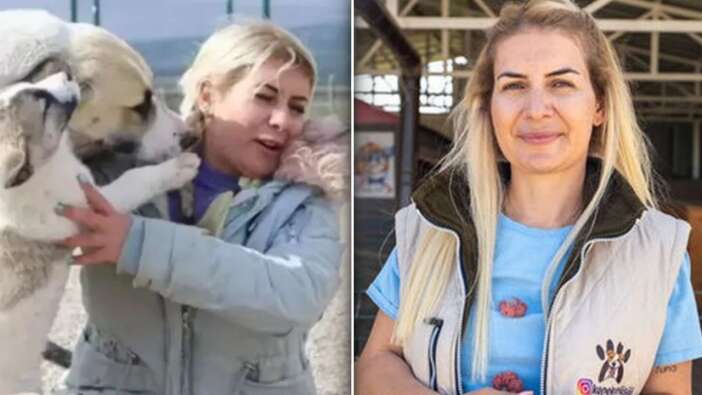 Köpek velisi Buket Özgünlü bağış paralarıyla bakın neler yapmış! Dikkat çeken oto alım satımları...