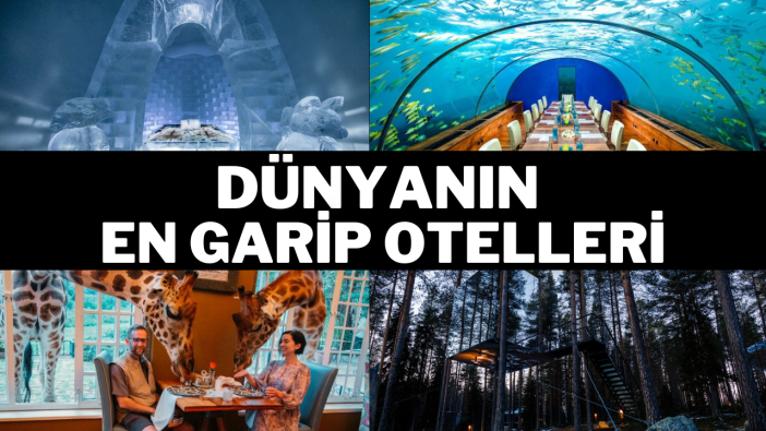 Hayal gücünü zorlayan oteller: Dünyanın en farklı 10 oteli