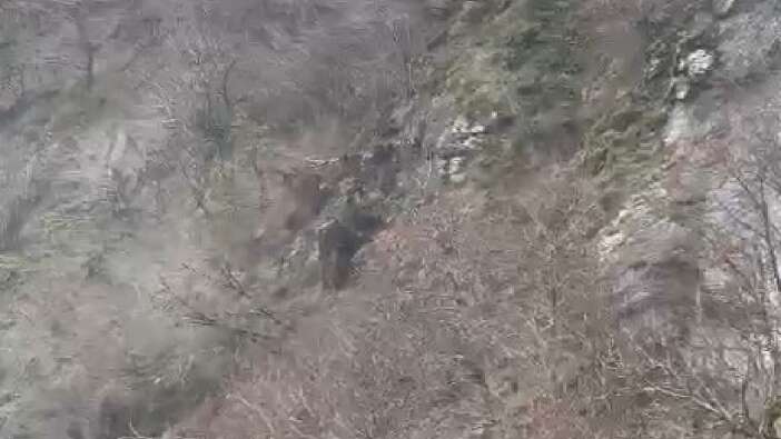Artvin’de korkunç anlar: Heyelan anı kameraya yansıdı...
