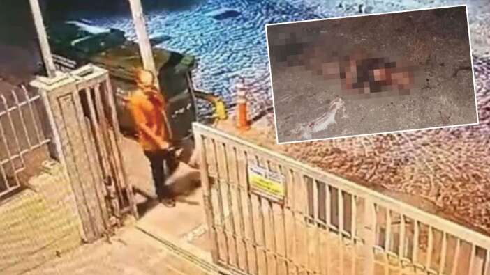Başıboş köpekler parçalayarak katletmişti! Şoke eden otopsi raporu ortaya çıktı!
