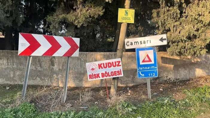 Hatay'da kuduz alarmı! Çamsarı mahallesi kapatıldı! İki kişi ısırıldı işte alınan önlemler!