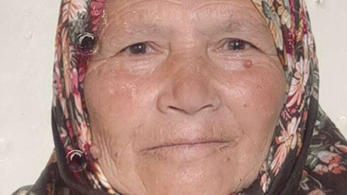 Bolu'da kaybolan kadının bulunması için arama çalışması yapılıyor