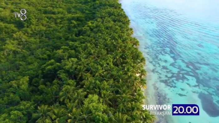 Gönüllülerden bir galibiyet daha! Survivor'da ilk çamur parkuru gerilimi