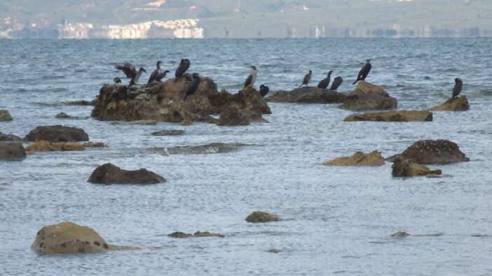 Balıkesir’de deniz çekildi, 2 bin 500 yıllık antik liman ortaya çıktı
