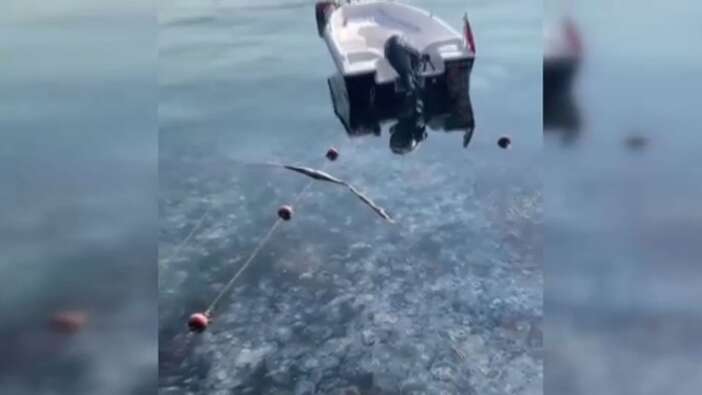 İstanbul'da korkutan görüntü! Sarıyer'de binlerce denizanası kıyıya vurdu!