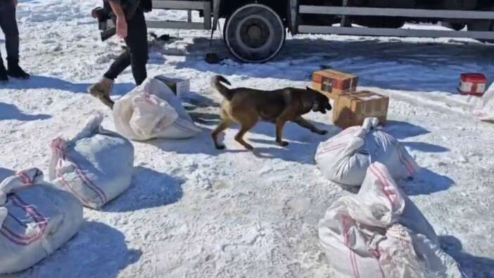 Hakkari'de kargo ile gönderilmek istenilen 102 kilo uyuşturucu ele geçirildi