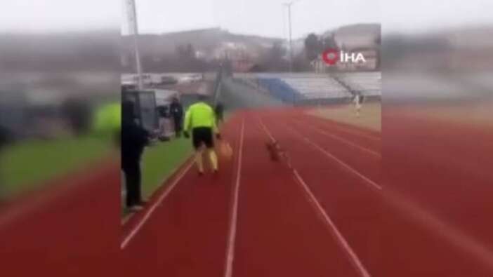 Amatör küme maçında sahaya giren sokak köpeğini yan hakem çıkardı