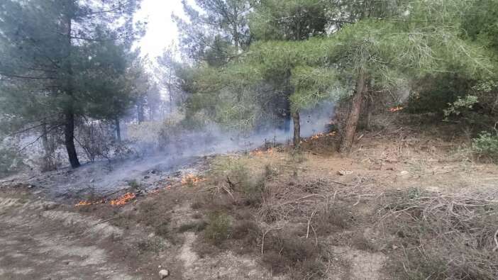 Manisa'da yangın! 1 hektar ormanlık alan yandı...