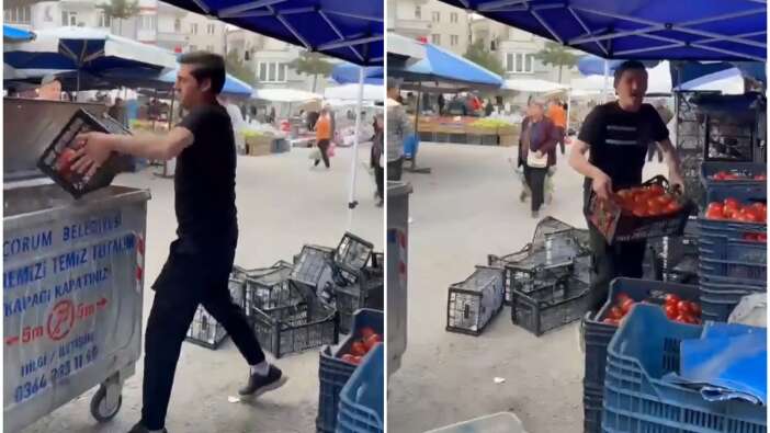 Çorum'da domatesleri ucuza satmamak için çöpe döken pazarcıya milyonluk para cezası