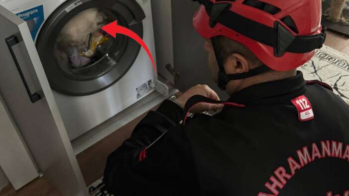 Çamaşır makinesinde mahsur kalan kediyi Kahramanmaraş itfaiyesi kurtardı